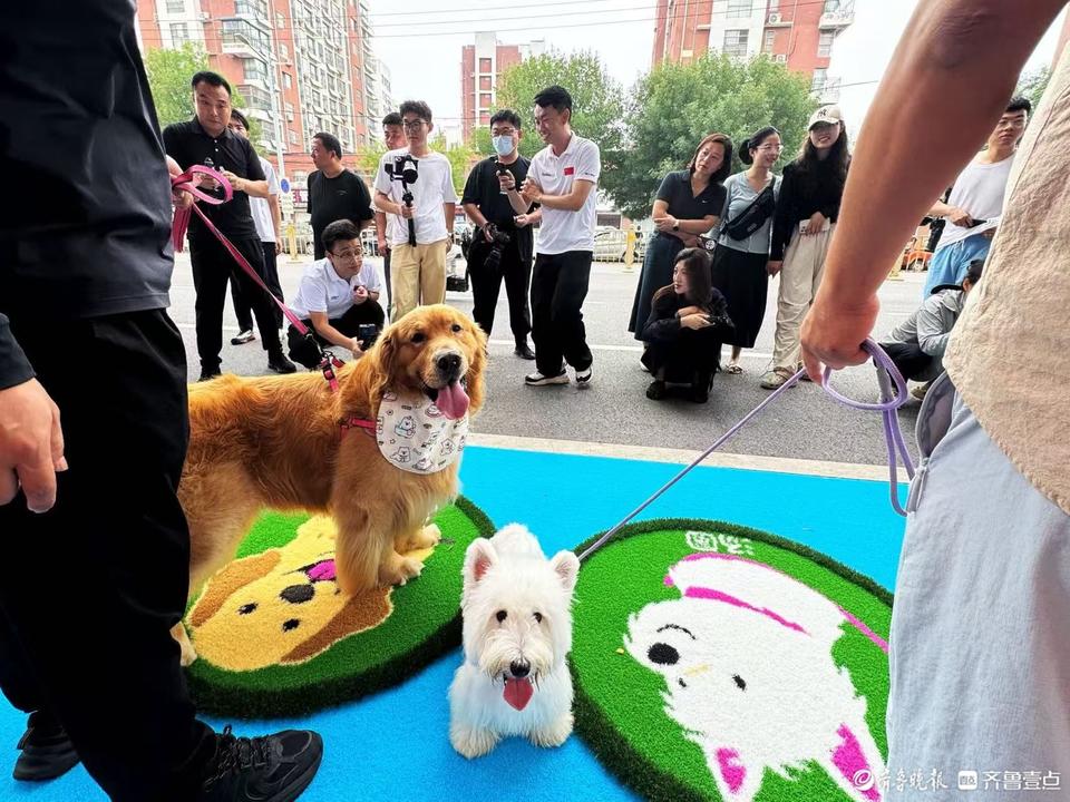 个县域的超