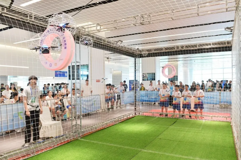 争夺飞往韩, 界杯