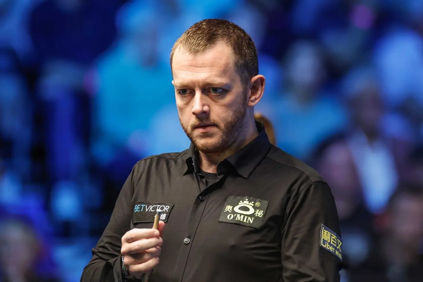 amp, 没人有绝对, img amp, 没人有绝对, img