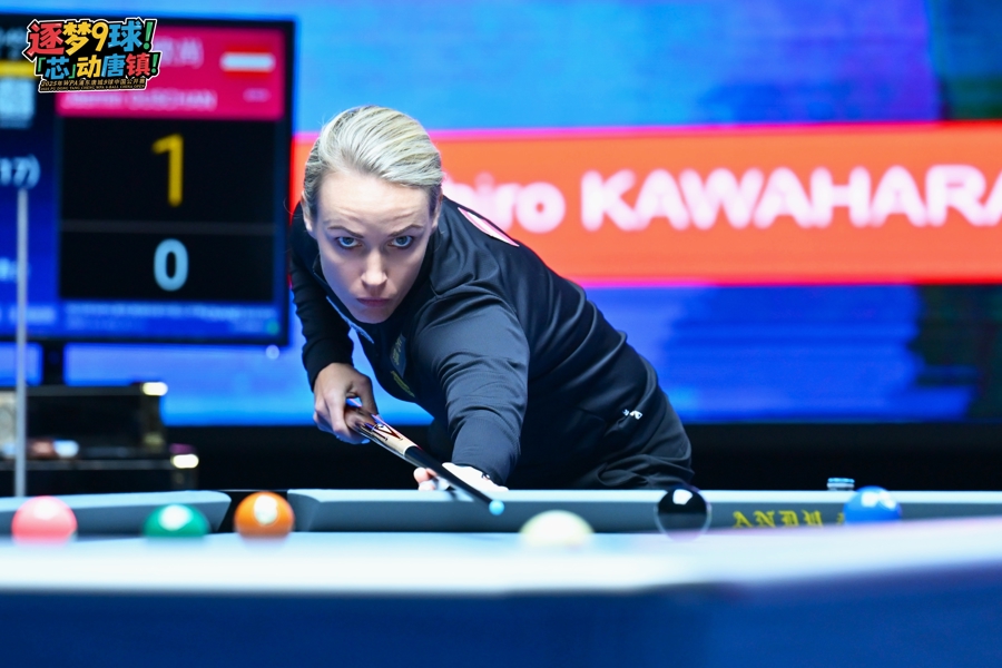 镇人民政府, tenan