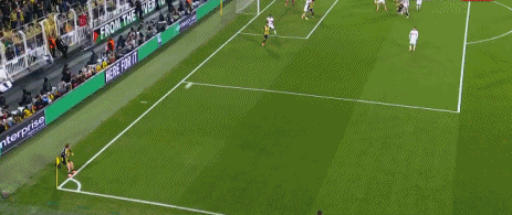 施蒂勒禁区, 费内巴切, net